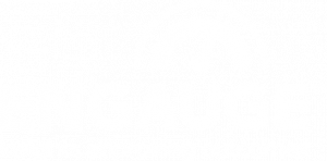 Engauge Engauge - Insights improving outcomes